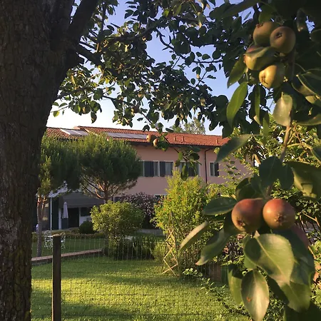 Отель Cascina Castagneto Castell'Alfero