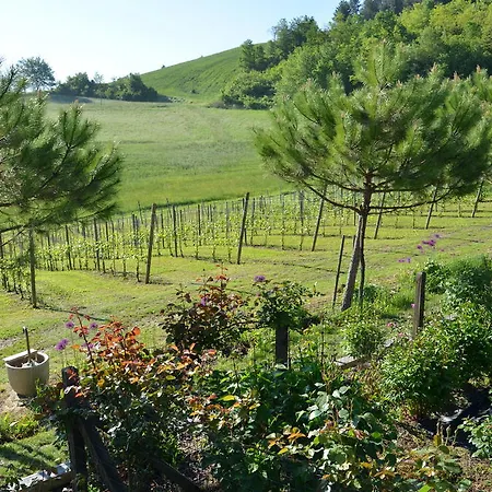 Hotel Cascina Castagneto
